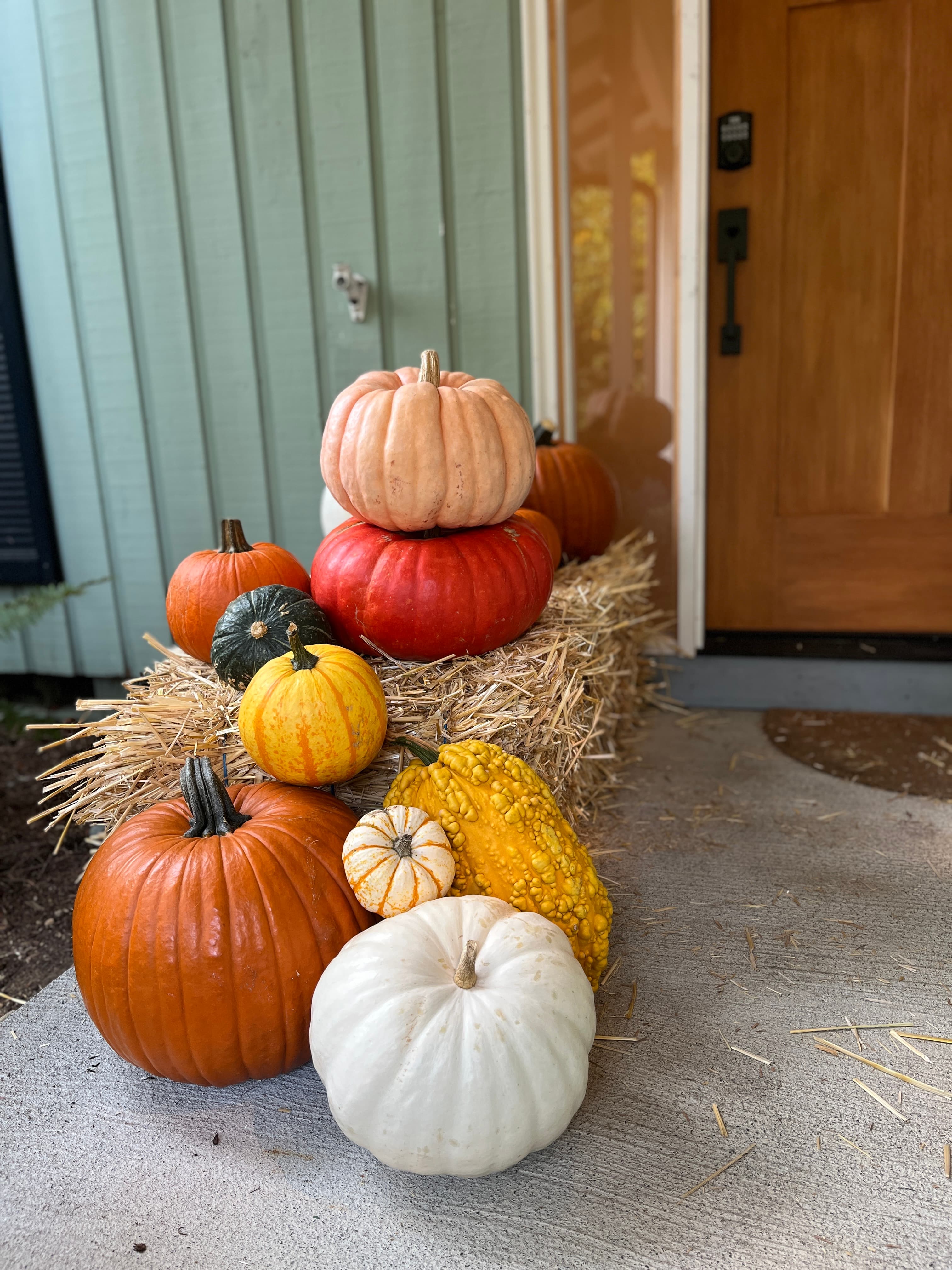 Pumpkin Display